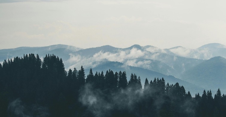 COPD-Index